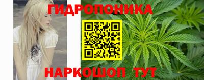 амф Лесосибирск